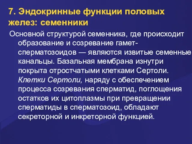 7. Эндокринные функции половых желез: семенники Основной структурой семенника, где происходит