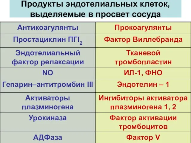 Продукты эндотелиальных клеток, выделяемые в просвет сосуда