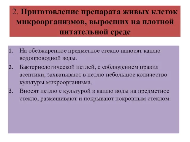 2. Приготовление препарата живых клеток микроорганизмов, выросших на плотной питательной среде