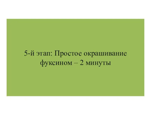 5-й этап: Простое окрашивание фуксином – 2 минуты