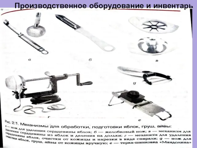 Производственное оборудование и инвентарь