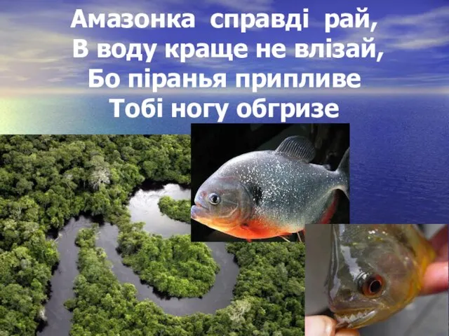 Амазонка справді рай, В воду краще не влізай, Бо піранья припливе Тобі ногу обгризе