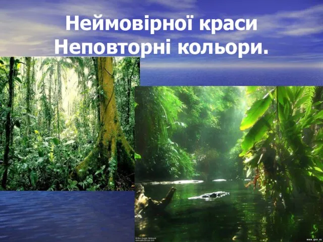 Неймовірної краси Неповторні кольори.