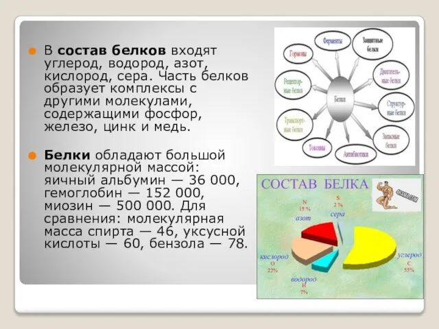 В состав белков входят углерод, водород, азот, кислород, сера. Часть белков