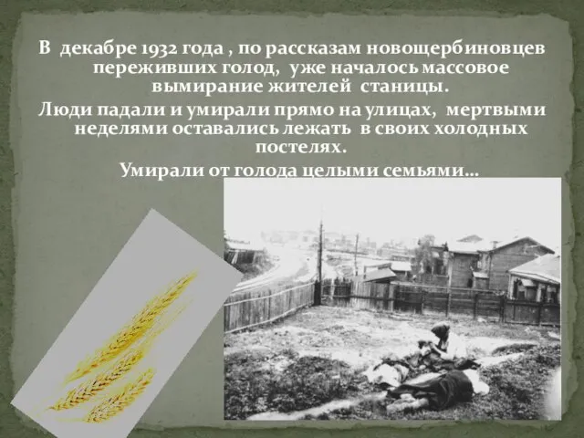 В декабре 1932 года , по рассказам новощербиновцев переживших голод, уже