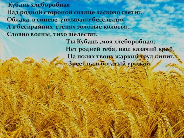 Кубань хлеборобная Над родной стороной солнце ласково светит, Облака в синеве