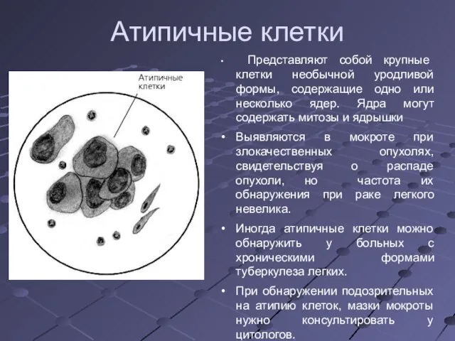 Атипичные клетки Представляют собой крупные клетки необычной уродливой формы, содержащие одно