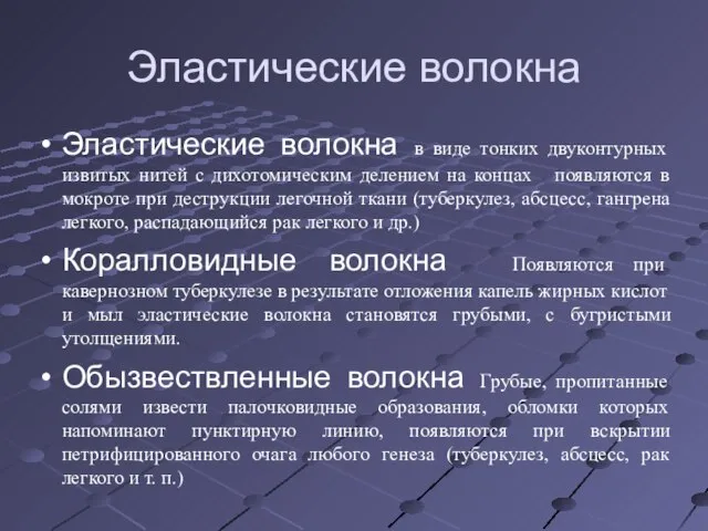 Эластические волокна Эластические волокна в виде тонких двуконтурных извитых нитей с