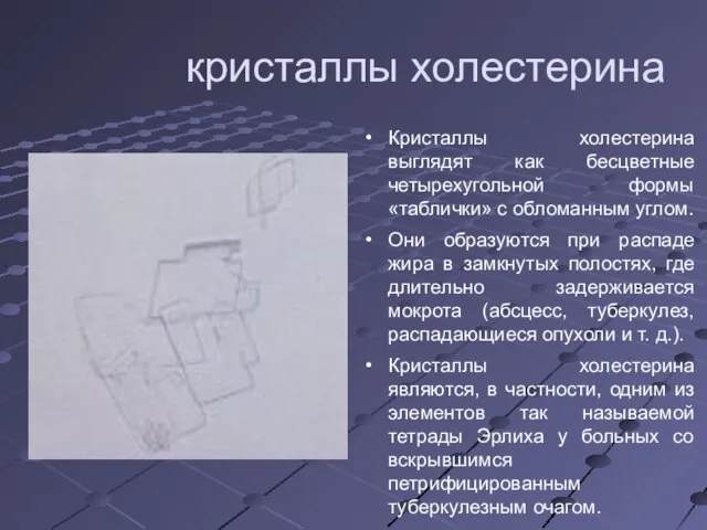 кристаллы холестерина Кристаллы холестерина выглядят как бесцветные четырехугольной формы «таблички» с