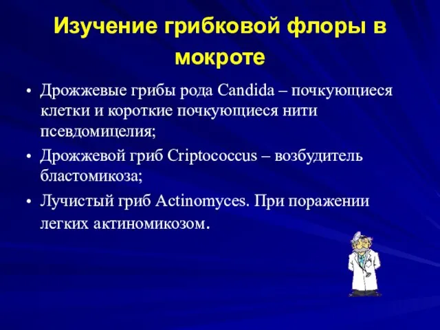 Изучение грибковой флоры в мокроте Дрожжевые грибы рода Candida – почкующиеся