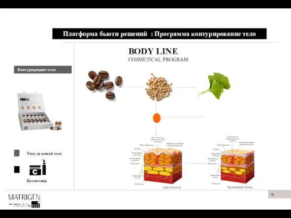 Платформа бьюти решений : Программа контурирование тело BODY LINE COSMETICAL PROGRAM Контурирвание тело