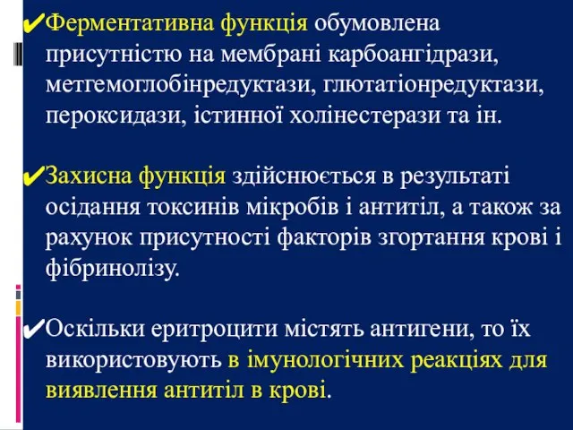 Ферментативна функція обумовлена присутністю на мембрані карбоангідрази, метгемоглобінредуктази, глютатіонредуктази, пероксидази, істинної