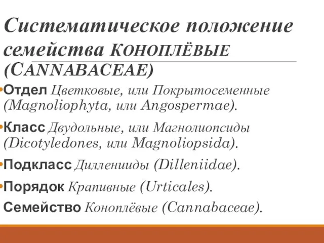 Систематическое положение семейства КОНОПЛЁВЫЕ (CANNABACEAE) Отдел Цветковые, или Покрытосеменные (Magnoliophyta, или