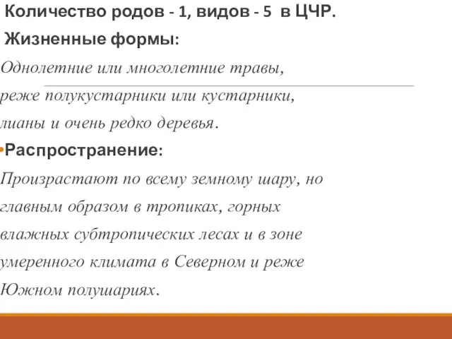 Количество родов - 1, видов - 5 в ЦЧР. Жизненные формы: