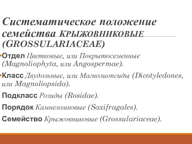 Систематическое положение семейства КРЫЖОВНИКОВЫЕ (GROSSULARIACEAE) Отдел Цветковые, или Покрытосеменные (Magnoliophyta, или