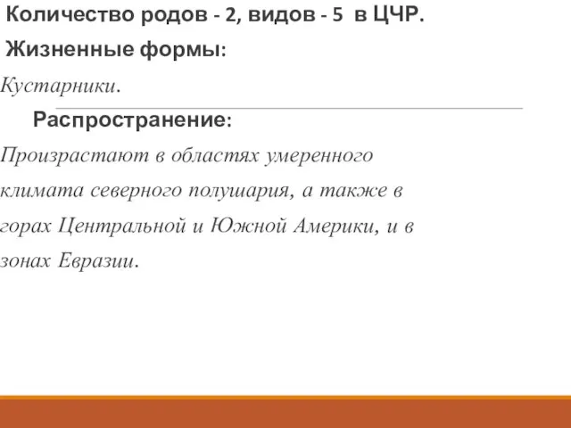 Количество родов - 2, видов - 5 в ЦЧР. Жизненные формы: