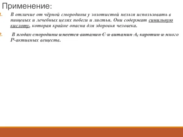 Применение: В отличие от чёрной смородины у золотистой нельзя использовать в