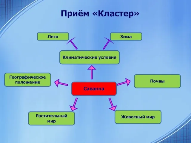 Приём «Кластер» Саванна Климатические условия Географическое положение Почвы Животный мир Растительный мир Лето Зима