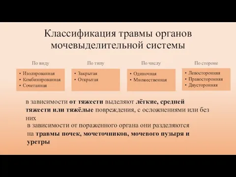 Классификация травмы органов мочевыделительной системы в зависимости от тяжести выделяют лёгкие,