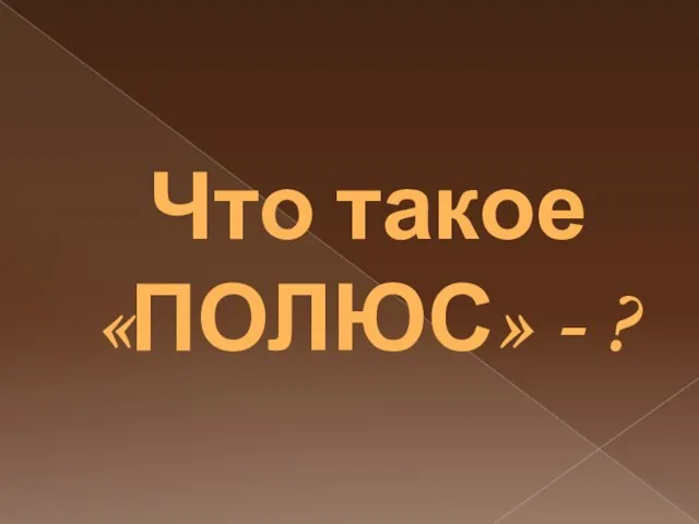 Что такое «ПОЛЮС» - ?