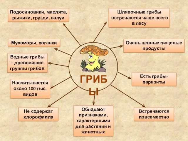 ГРИБЫ Подосиновики, маслята, рыжики, грузди, валуи Мухоморы, поганки Насчитывается около 100