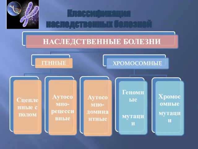 Классификация наследственных болезней