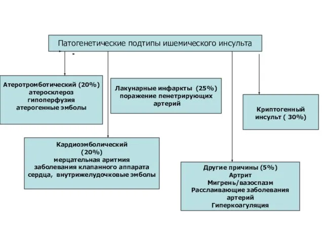 Патогенетические подтипы ишемического инсульта Атеротромботический (20%) атеросклероз гипоперфузия атерогенные эмболы Кардиоэмболический