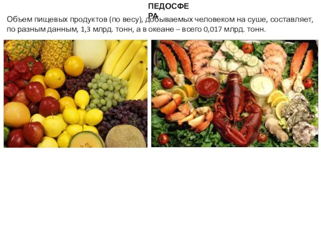 ПЕДОСФЕРА Объем пищевых продуктов (по весу), добываемых человеком на суше, составляет,