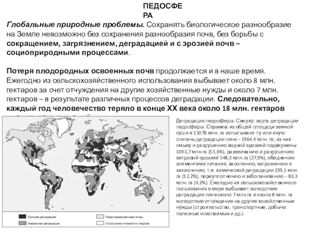 ПЕДОСФЕРА Глобальные природные проблемы. Сохранять биологическое разнообразие на Земле невозможно без