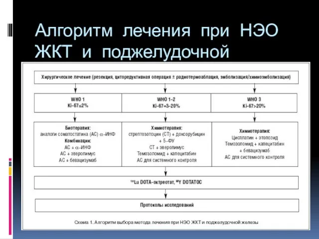 Алгоритм лечения при НЭО ЖКТ и поджелудочной железы