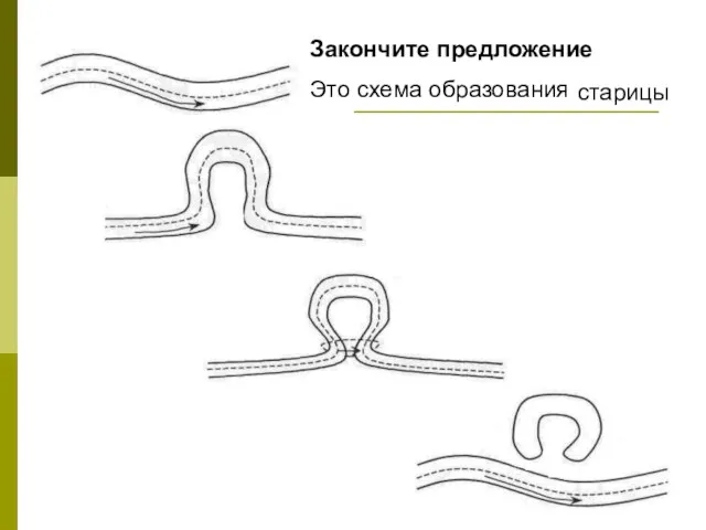 Закончите предложение Это схема образования … старицы