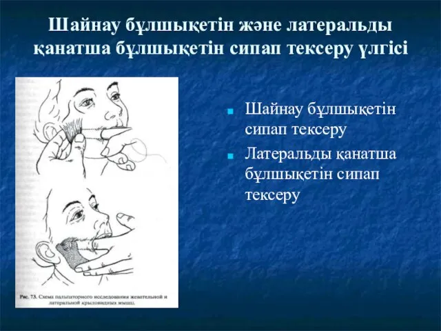 Шайнау бұлшықетін және латеральды қанатша бұлшықетін сипап тексеру үлгісі Шайнау бұлшықетін