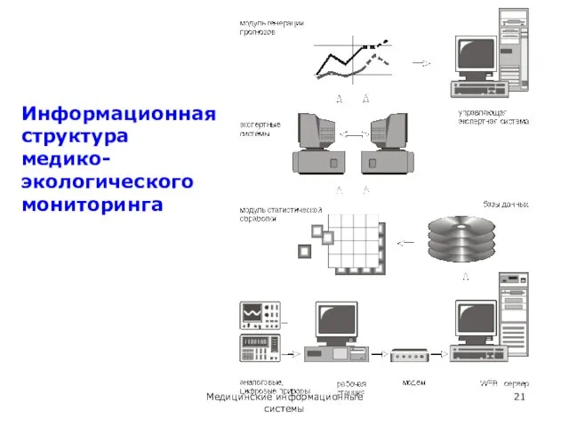 Информационная структура медико-экологического мониторинга Медицинские информационные системы