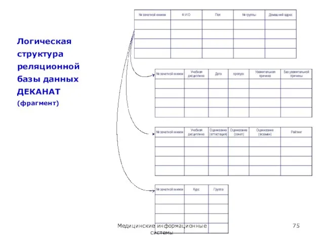 Логическая структура реляционной базы данных ДЕКАНАТ (фрагмент) Медицинские информационные системы