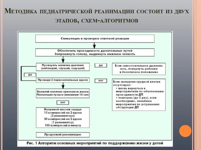 Методика педиатрической реанимации состоит из двух этапов, схем-алгоритмов