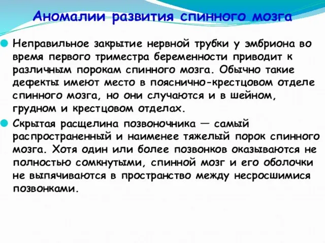 Аномалии развития спинного мозга Неправильное закрытие нервной трубки у эмбриона во