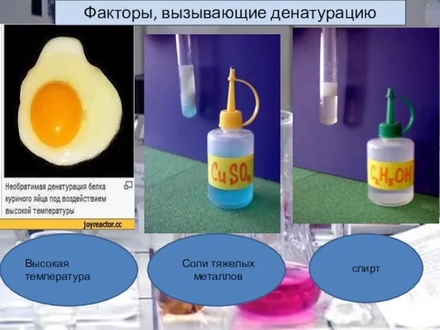 Факторы, вызывающие денатурацию спирт Высокая температура Соли тяжелых металлов