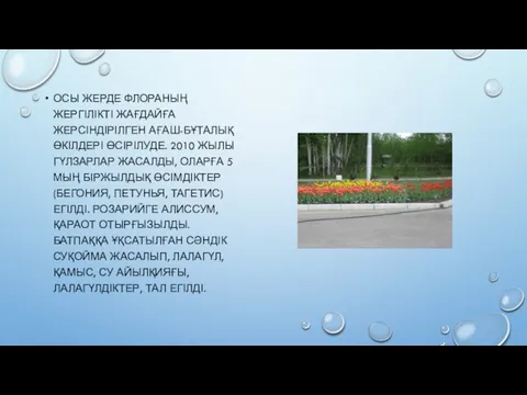 ОСЫ ЖЕРДЕ ФЛОРАНЫҢ ЖЕРГІЛІКТІ ЖАҒДАЙҒА ЖЕРСІНДІРІЛГЕН АҒАШ-БҰТАЛЫҚ ӨКІЛДЕРІ ӨСІРІЛУДЕ. 2010 ЖЫЛЫ