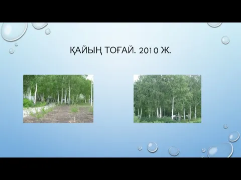 ҚАЙЫҢ ТОҒАЙ. 2010 Ж.