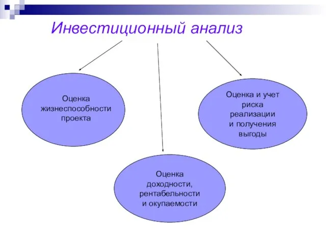 Инвестиционный анализ Оценка жизнеспособности проекта Оценка доходности, рентабельности и окупаемости Оценка