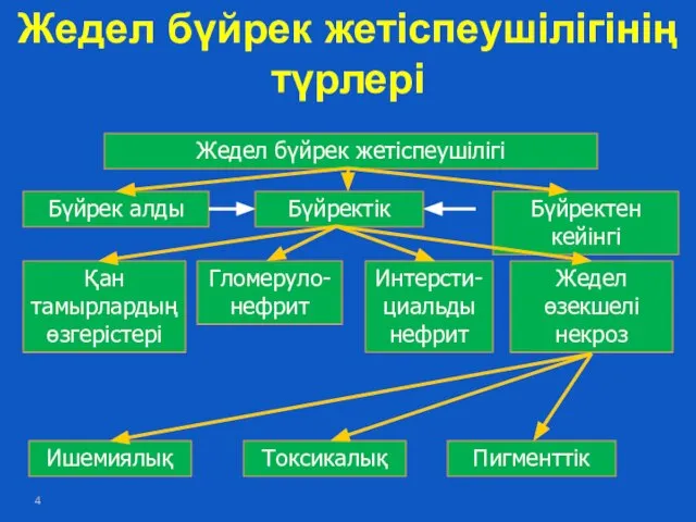 Жедел бүйрек жетіспеушілігінің түрлері Жедел бүйрек жетіспеушілігі Бүйрек алды Бүйректік Бүйректен