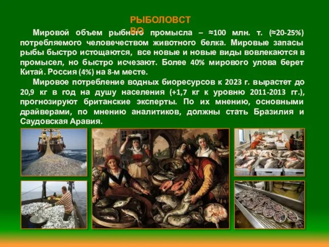 Мировой объем рыбного промысла – ≈100 млн. т. (≈20-25%) потребляемого человечеством