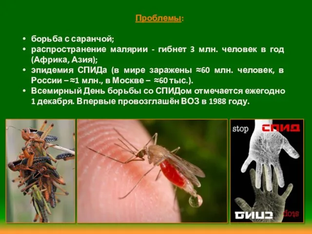 Проблемы: борьба с саранчой; распространение малярии - гибнет 3 млн. человек