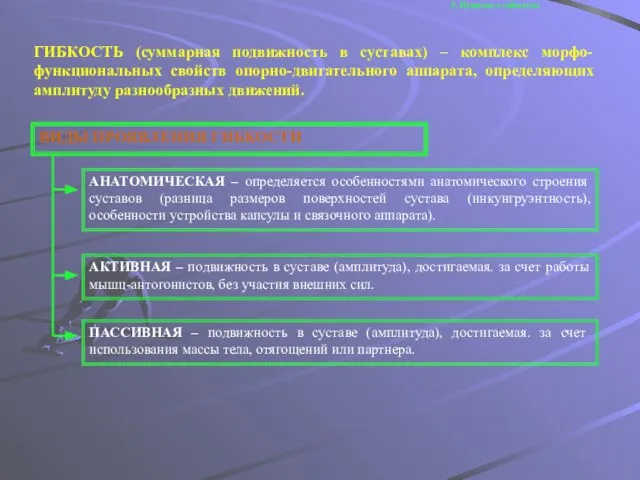 5. Понятие о гибкости ГИБКОСТЬ (суммарная подвижность в суставах) – комплекс