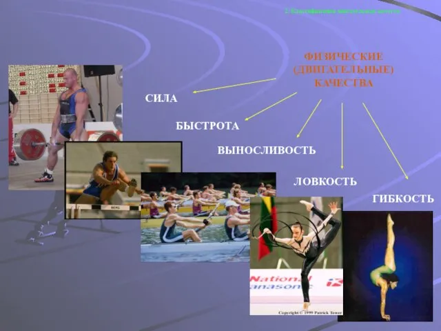 2. Классификация двигательных качеств ФИЗИЧЕСКИЕ (ДВИГАТЕЛЬНЫЕ) КАЧЕСТВА СИЛА БЫСТРОТА ВЫНОСЛИВОСТЬ ЛОВКОСТЬ ГИБКОСТЬ