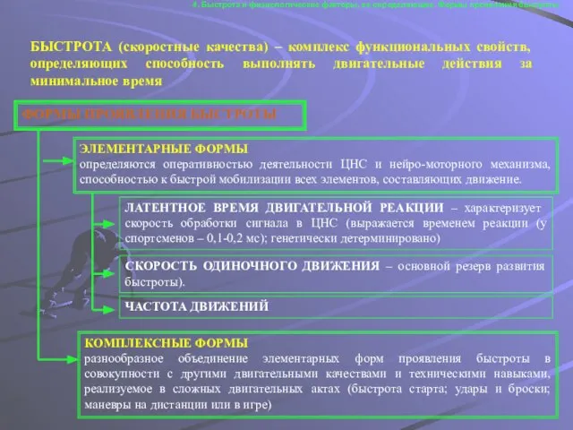 ФОРМЫ ПРОЯВЛЕНИЯ БЫСТРОТЫ ЭЛЕМЕНТАРНЫЕ ФОРМЫ определяются оперативностью деятельности ЦНС и нейро-моторного