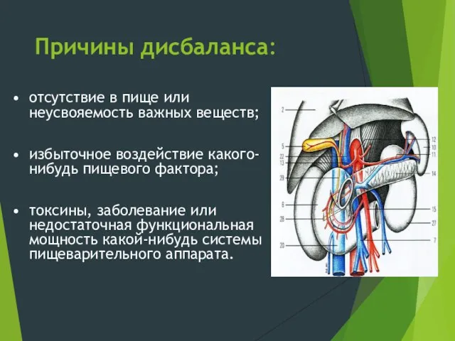 Причины дисбаланса: • отсутствие в пище или неусвояемость важных веществ; •