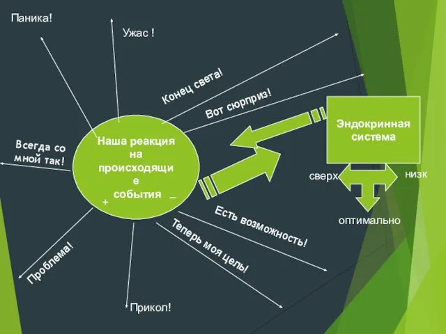 Наша реакция на происходящие события + _ Эндокринная система сверх оптимально
