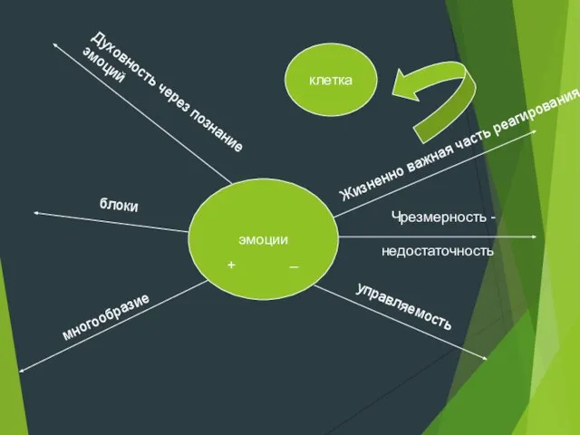 эмоции клетка Жизненно важная часть реагирования Чрезмерность - недостаточность управляемость многообразие