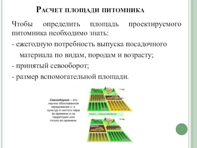 Расчет площади питомника Чтобы определить площадь проектируемого питомника необходимо знать: -